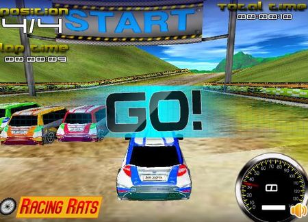 Zaisti: Rally Expedition 3D